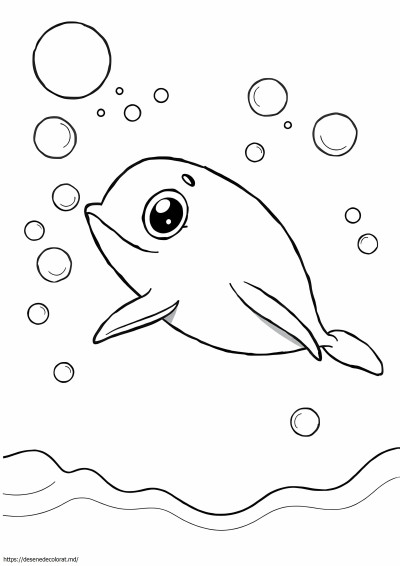 Vaquita