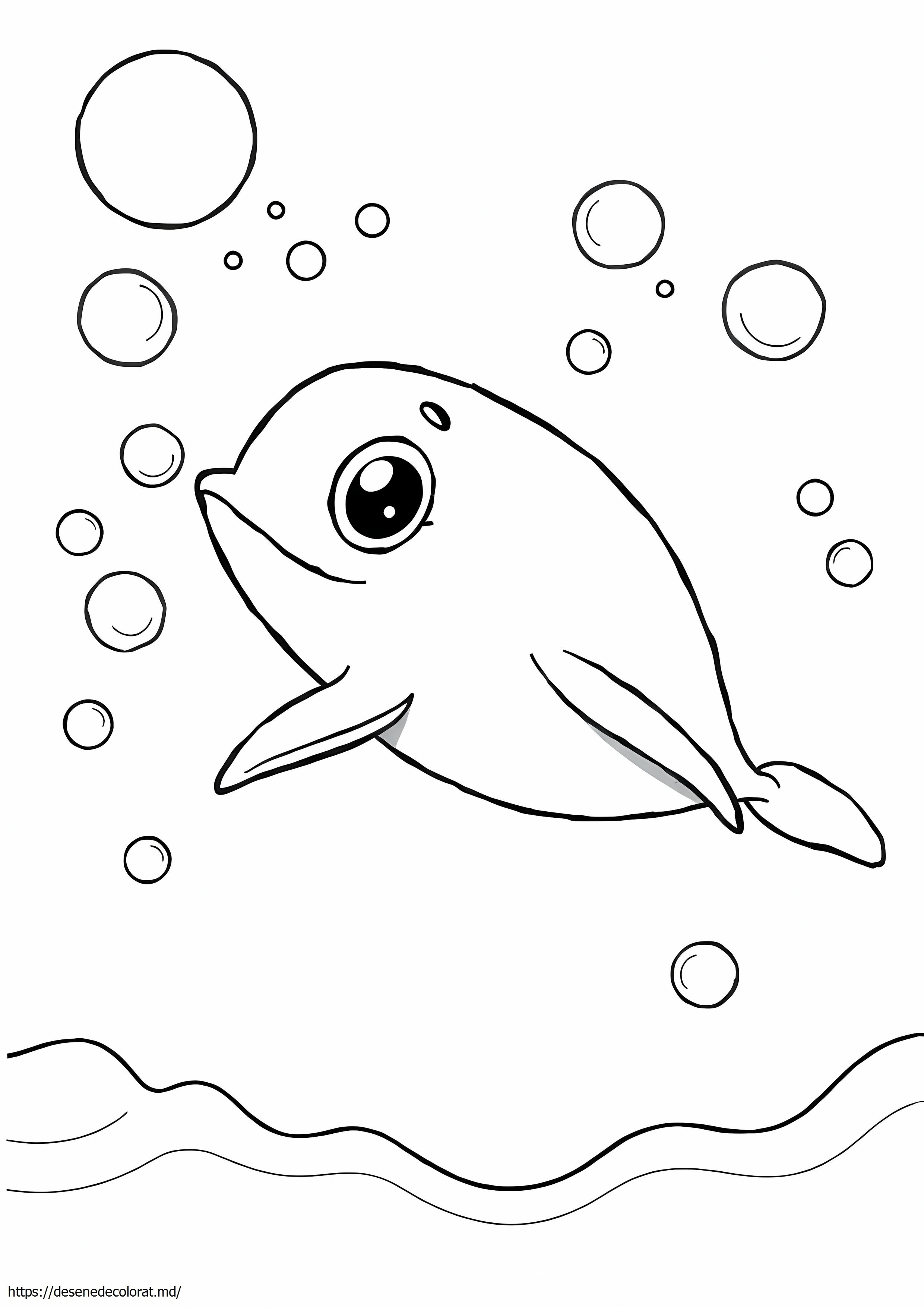 Vaquita