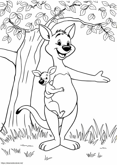 Kanga și roo
