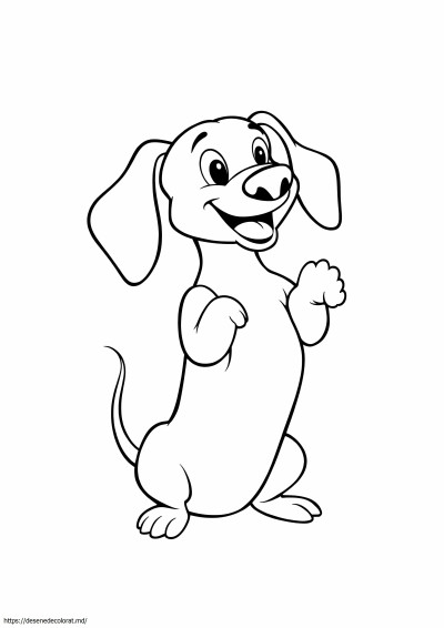 Câine weiner