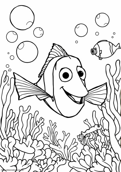 Nemo dory