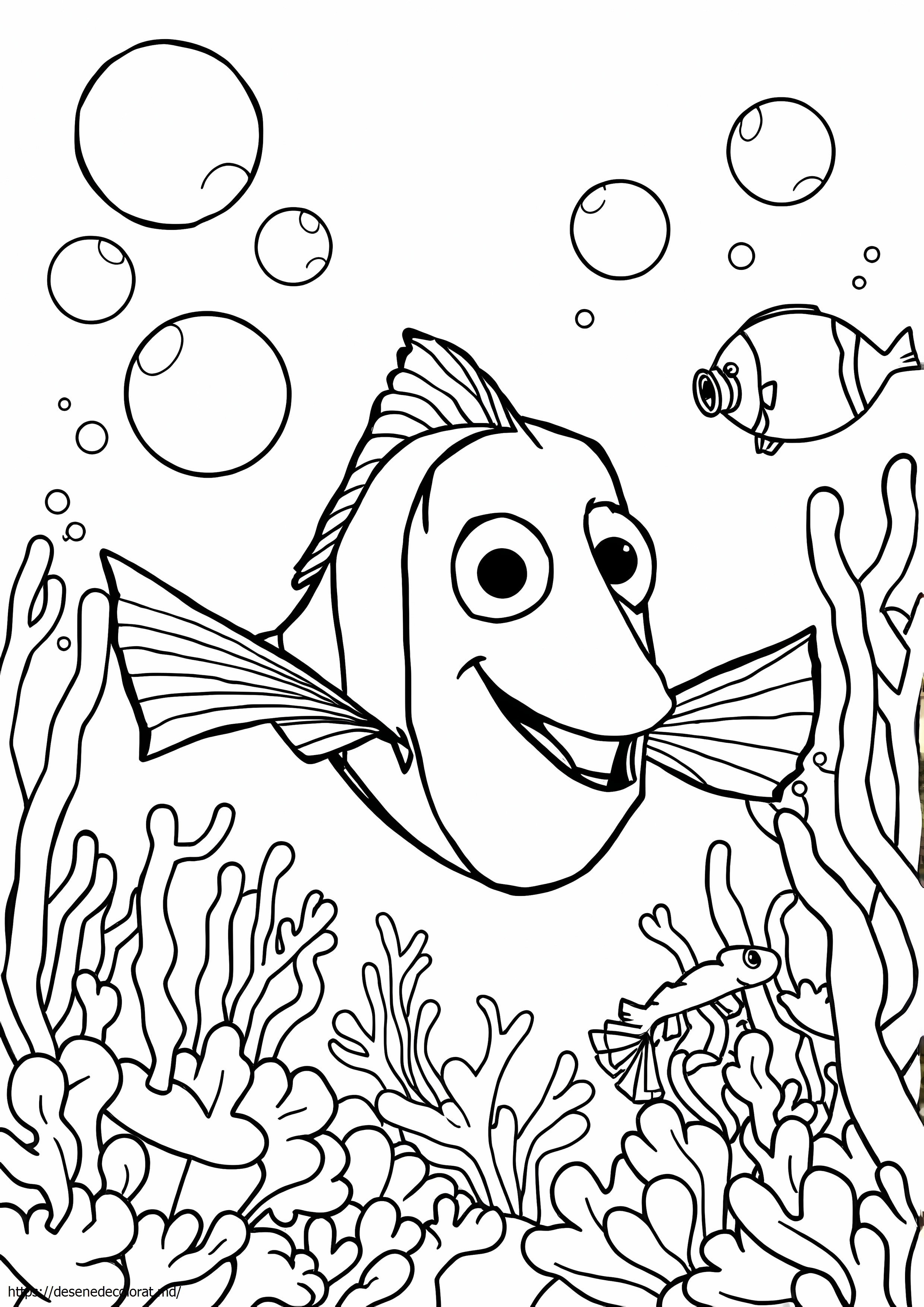 Nemo dory