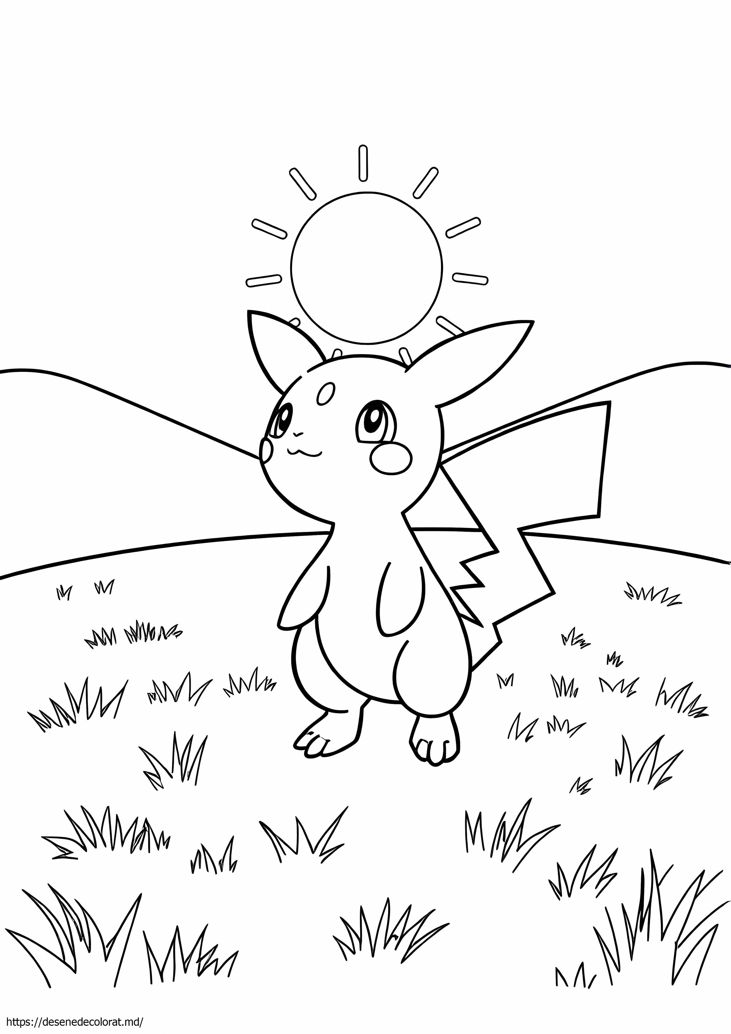 Orizonturi pokemon