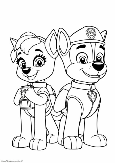 Skye și Chase Paw Patrol
