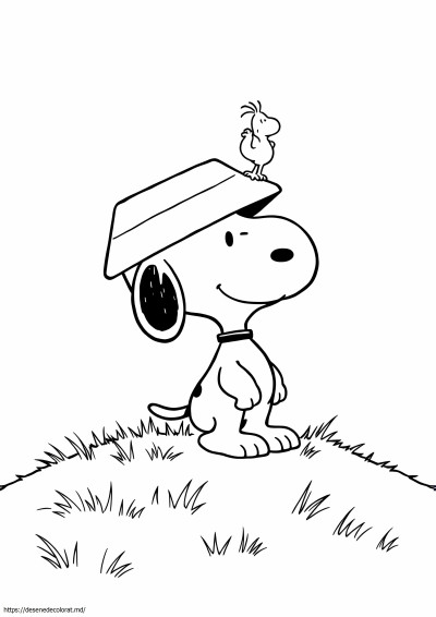 Snoopy și woodstock