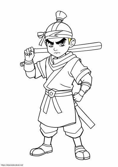 Sokka avatar ultimul maestru al aerului