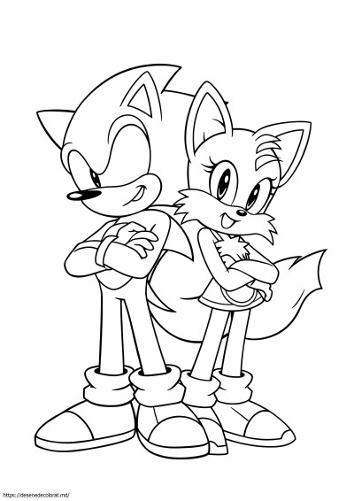 Sonic și cozi