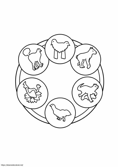 Discuri de putere wild kratts