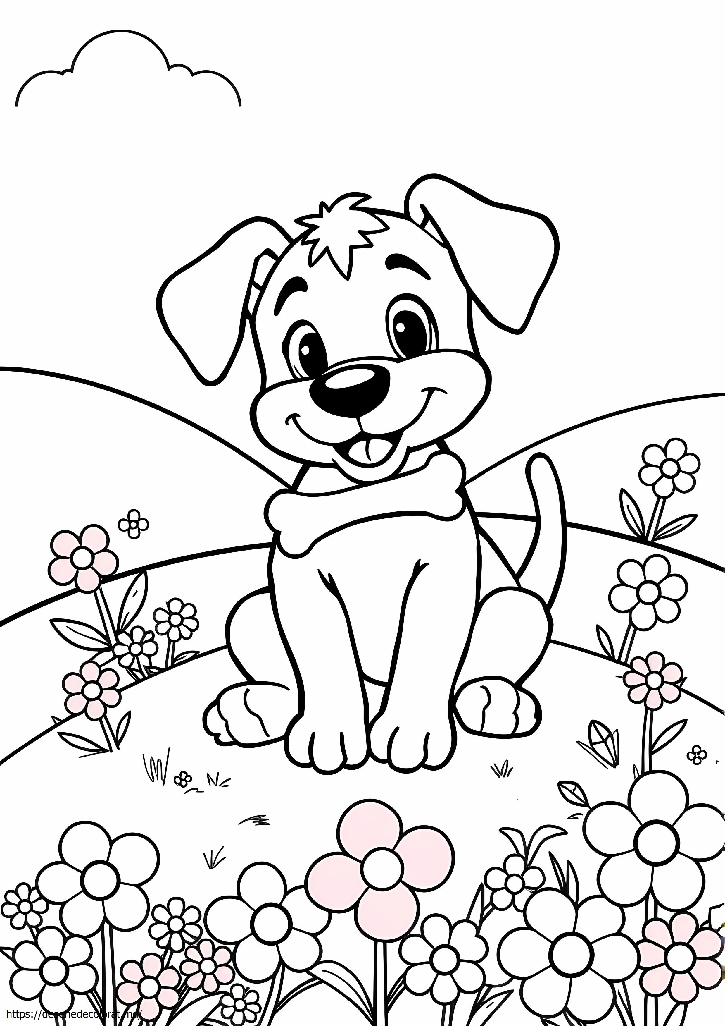 Woofster