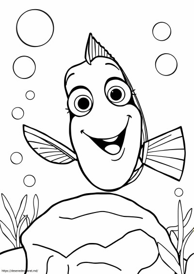 Pui dory
