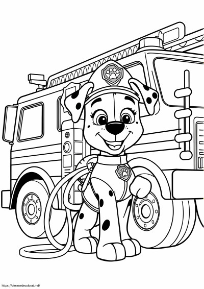 Camion de pompieri paw patrol Marshall