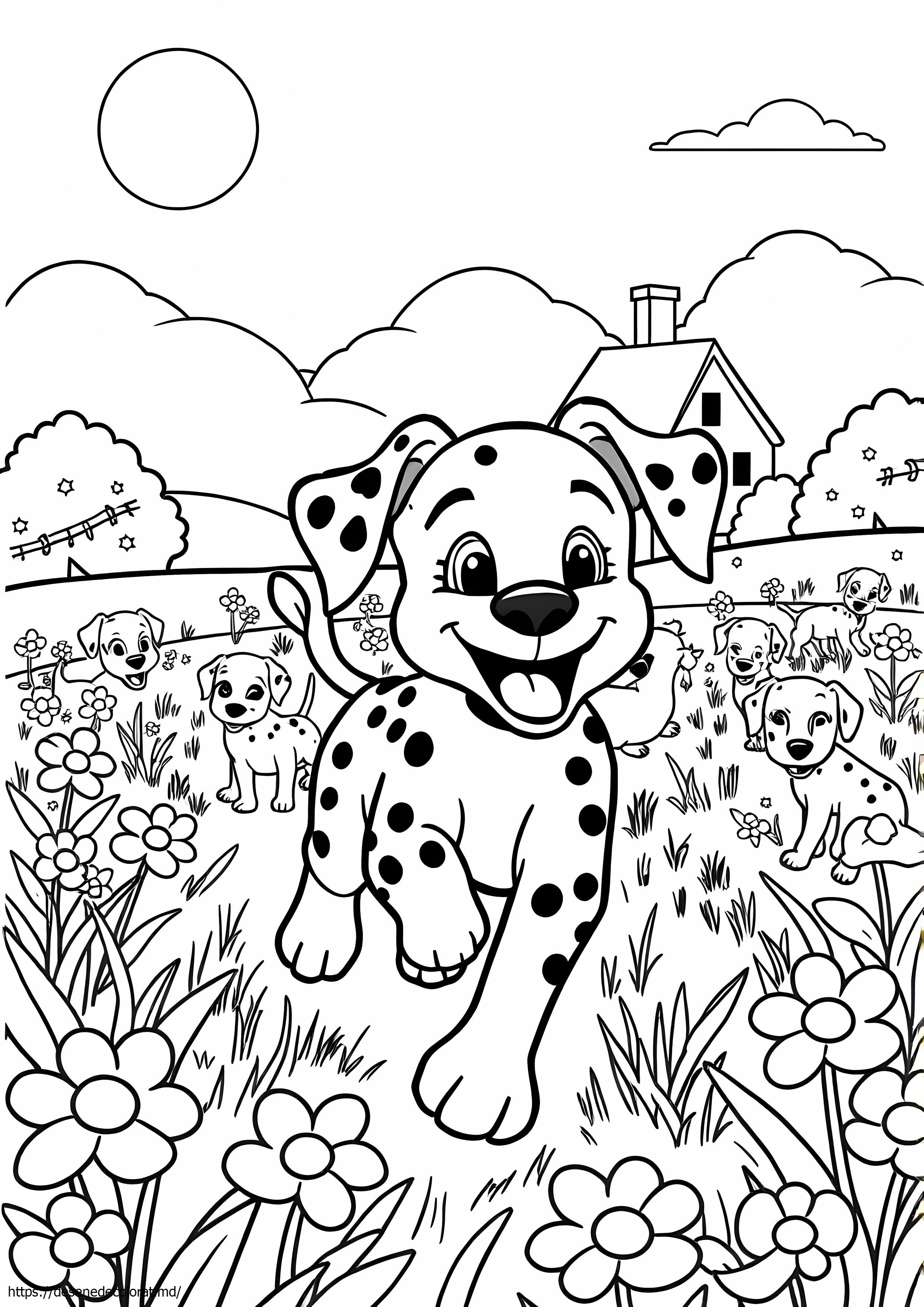 Strada dalmatian 101