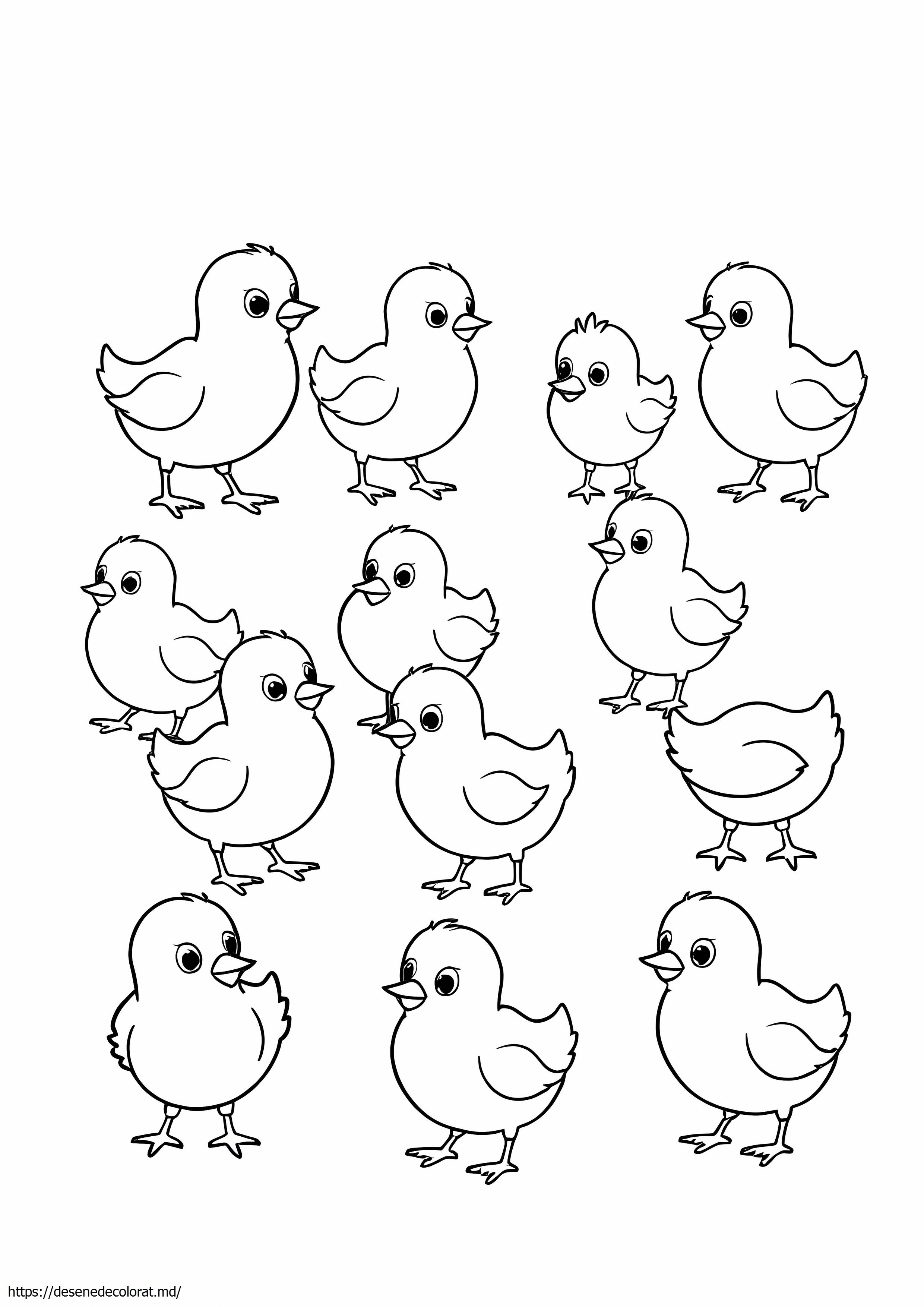 10 pui