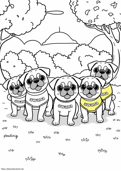 Awana puggles