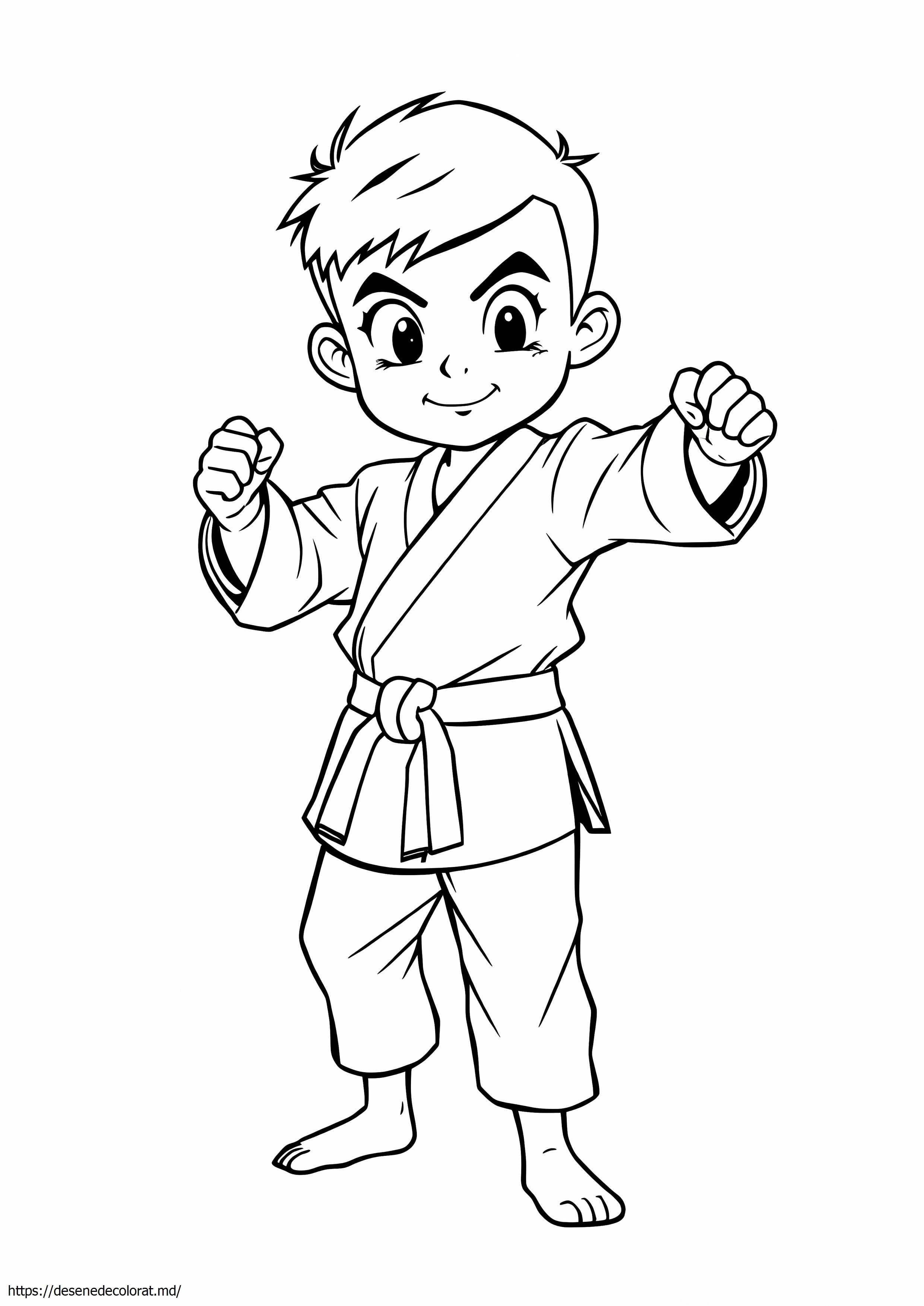 Baiat karate