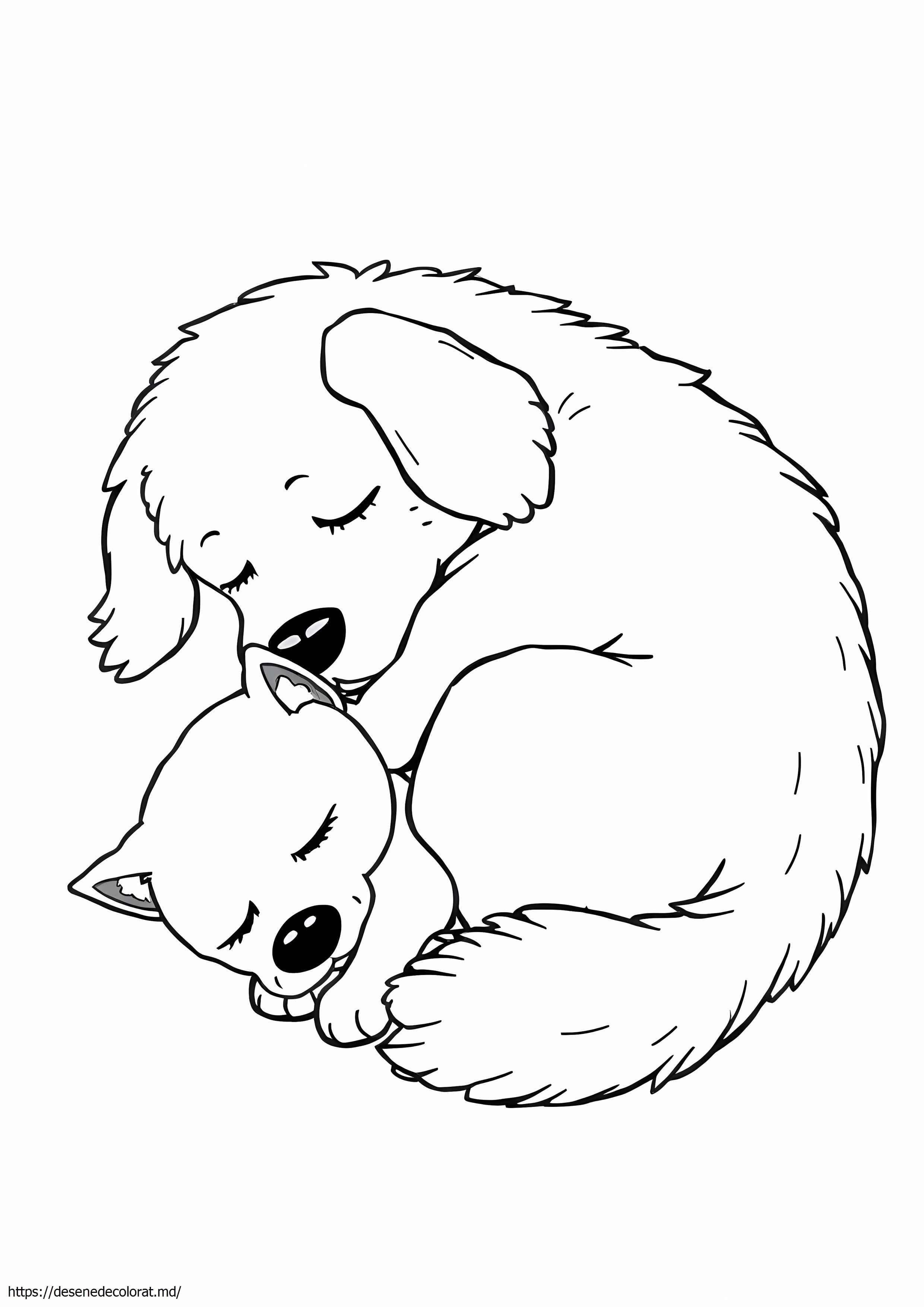 2 animale dormind