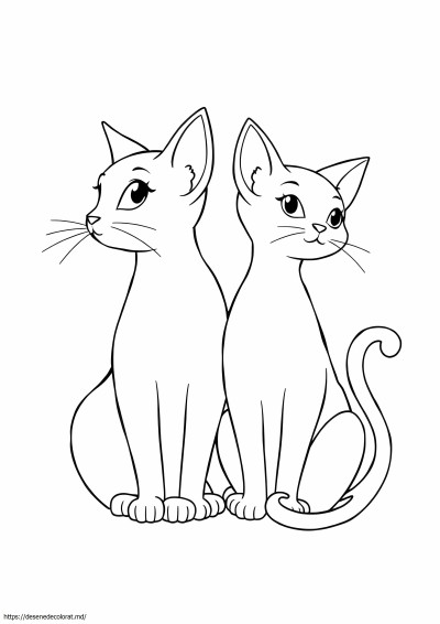 2 pisici