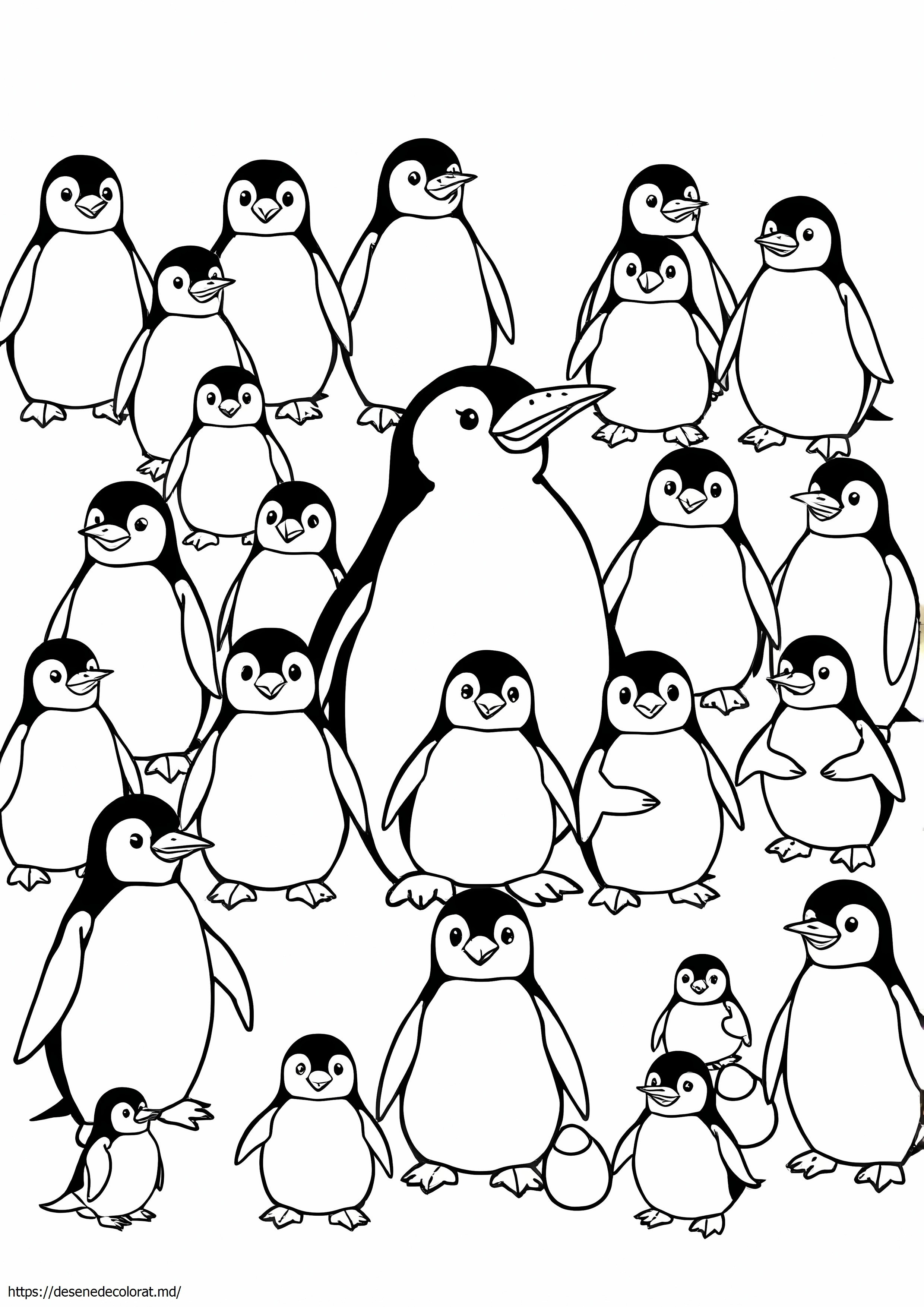 17 tipuri de pinguini