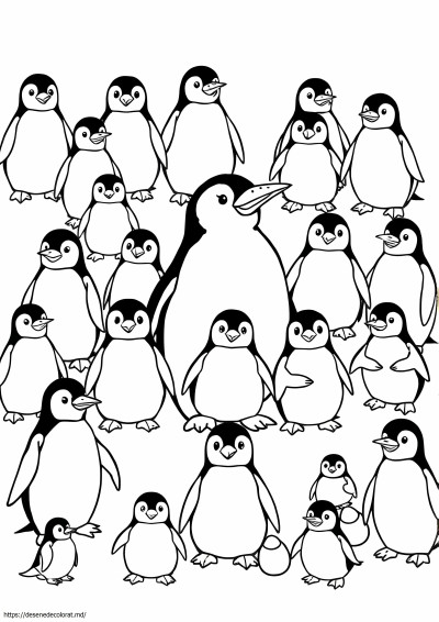 17 tipuri de pinguini