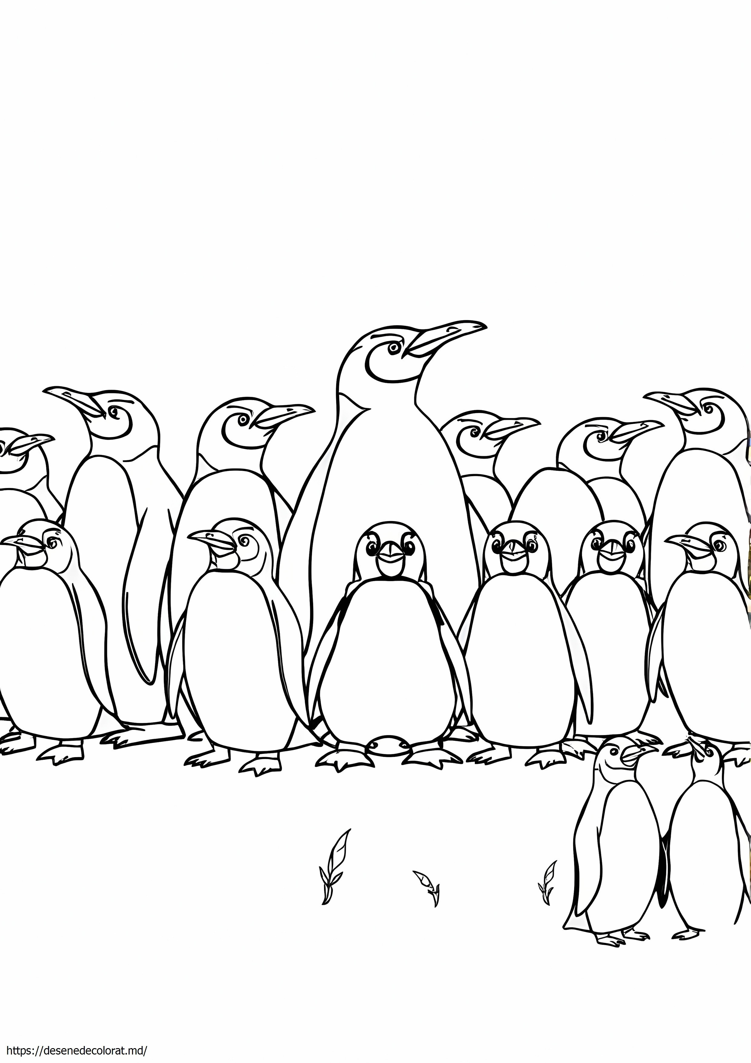 17 rase de pinguini