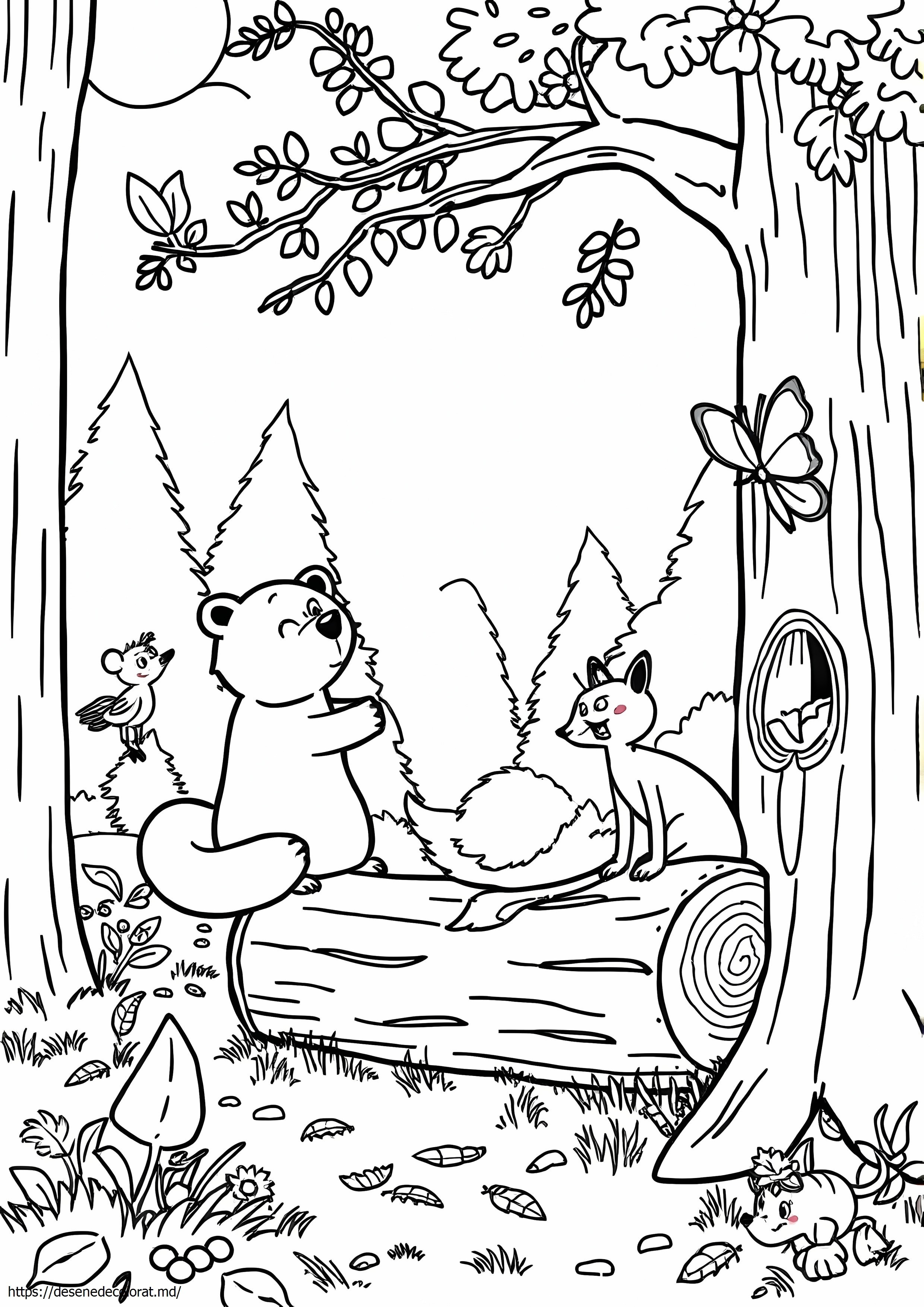 Activitățile jan brett