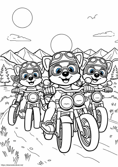 Pui moto