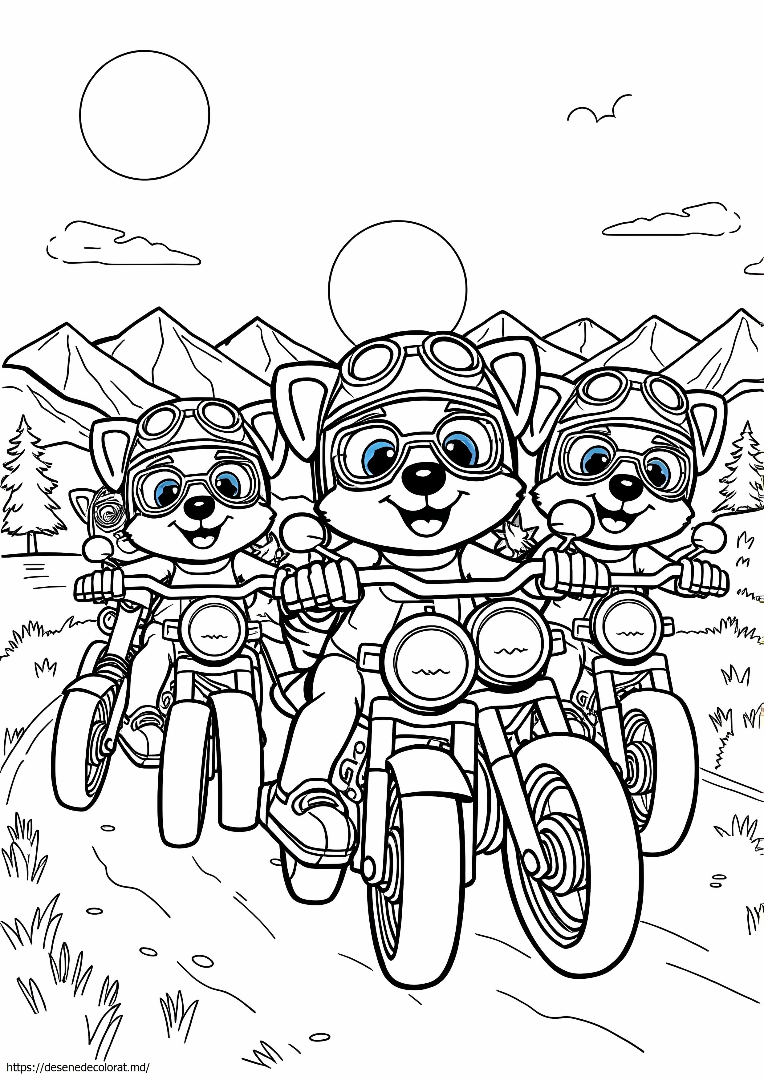 Pui moto