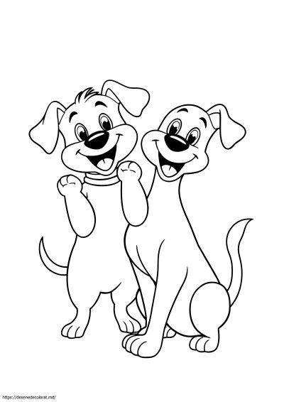 2 câine