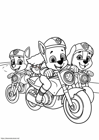 Patrula laba moto pui
