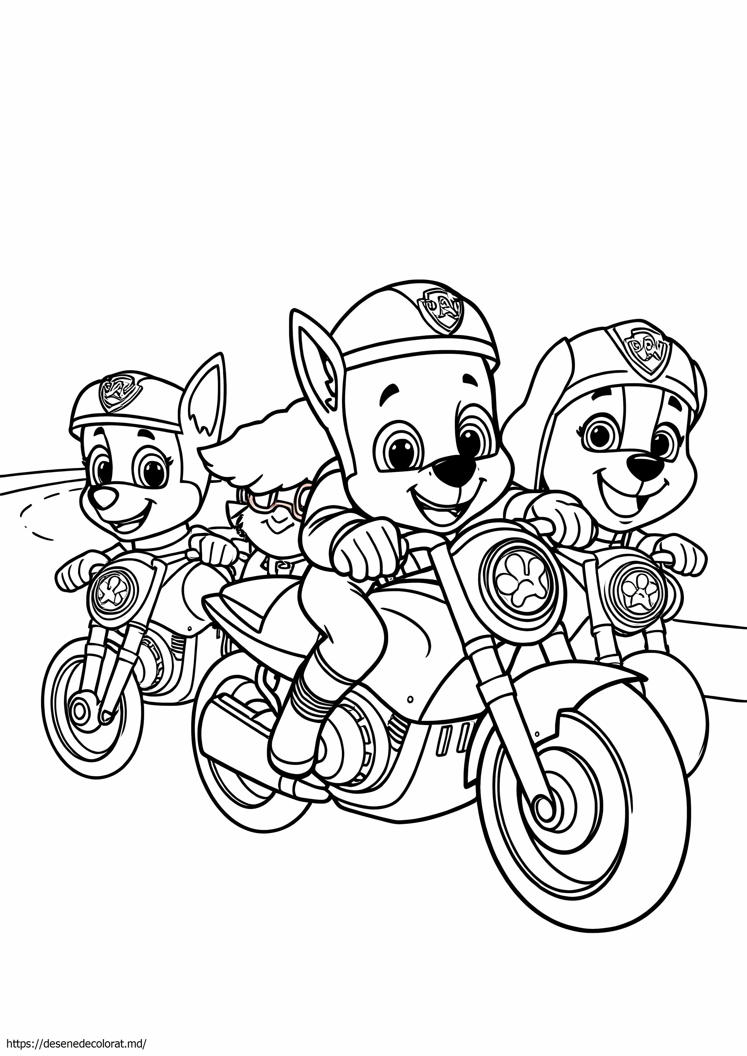 Patrula laba moto pui