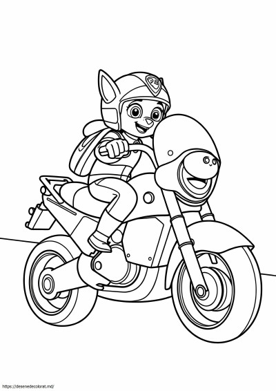 Motocicleta patrula laba
