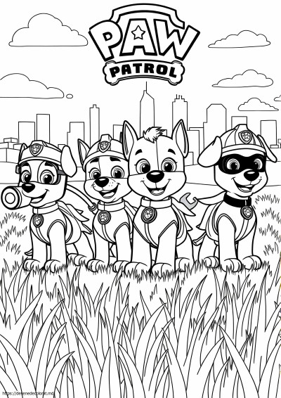Patrula laba super
