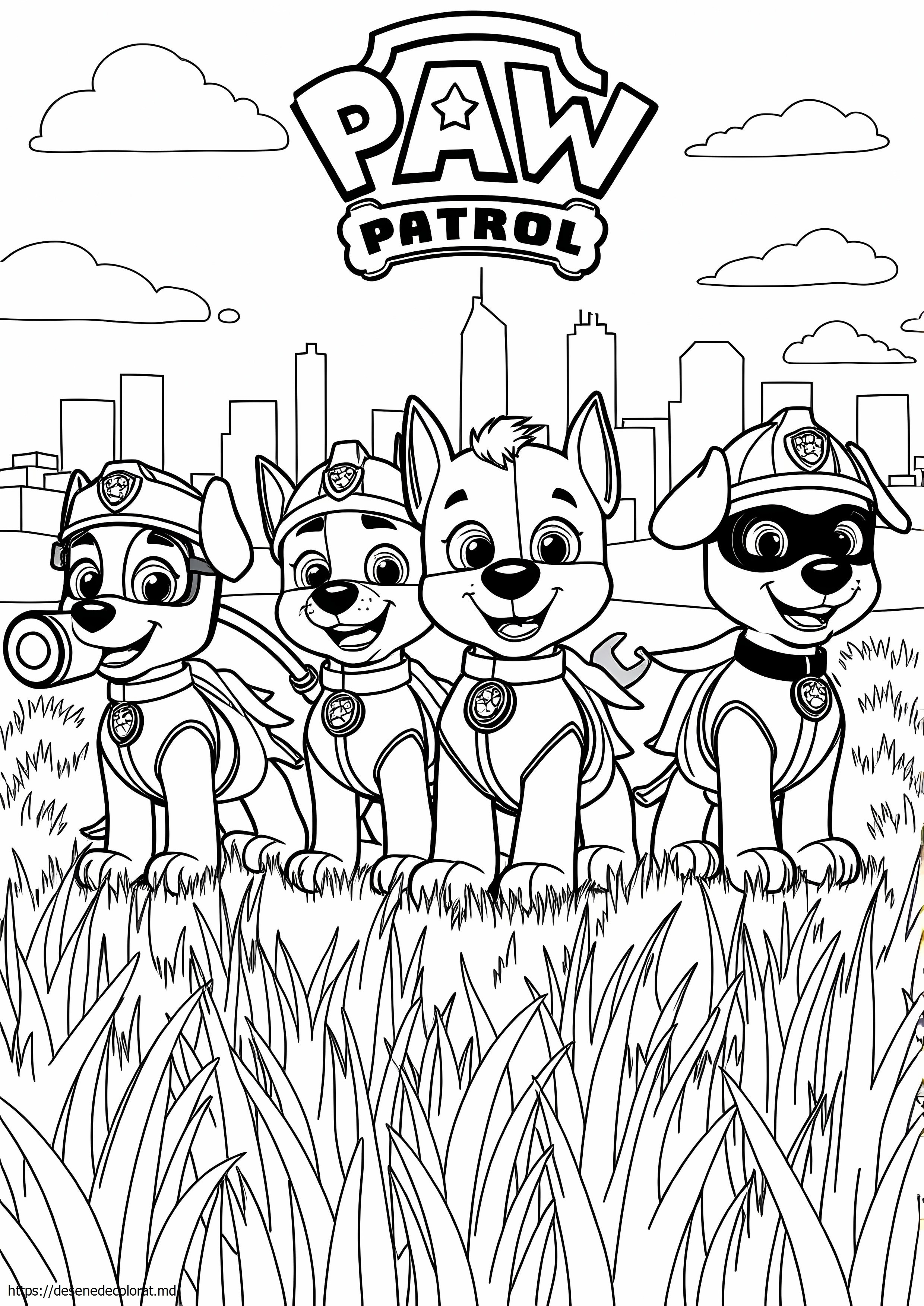 Patrula laba super