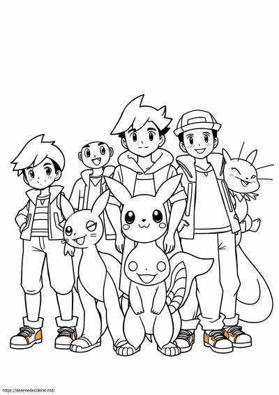 Băieți pokemon