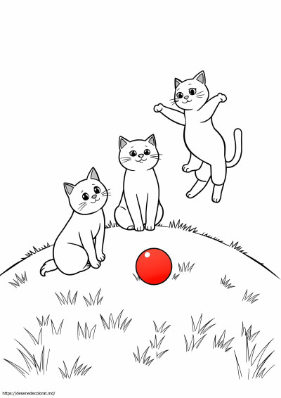 3 pisici