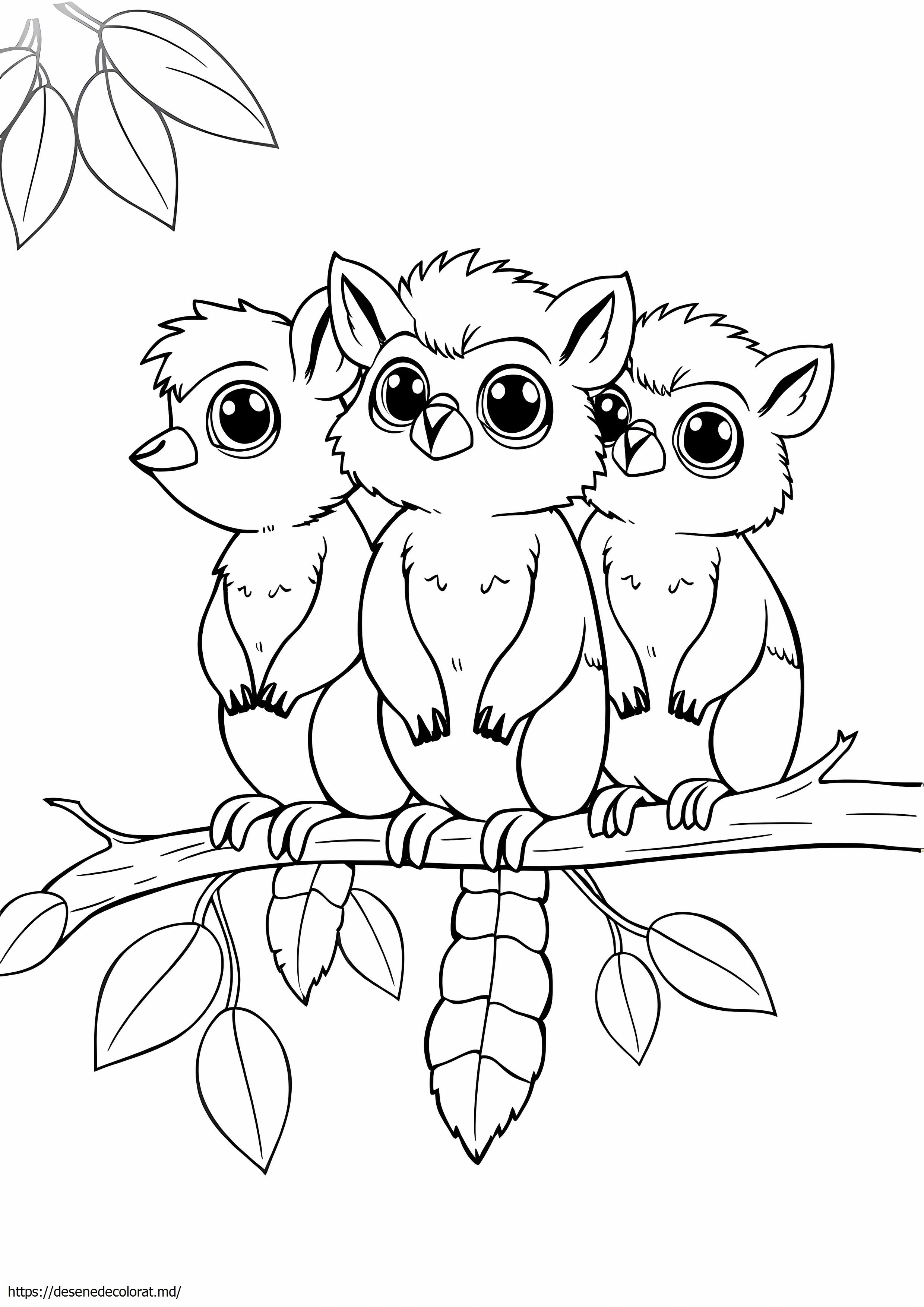 3 conabanros
