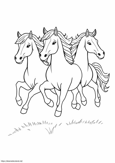 3 cai