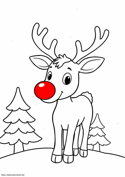 Uşor Rudolph