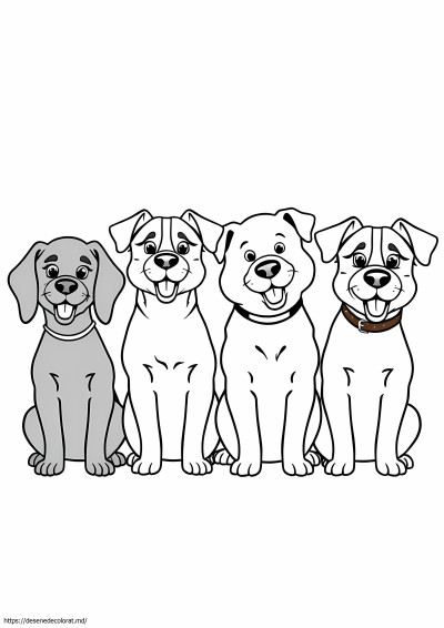 4 câine