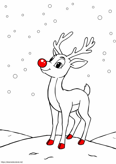 Rudolph pentru