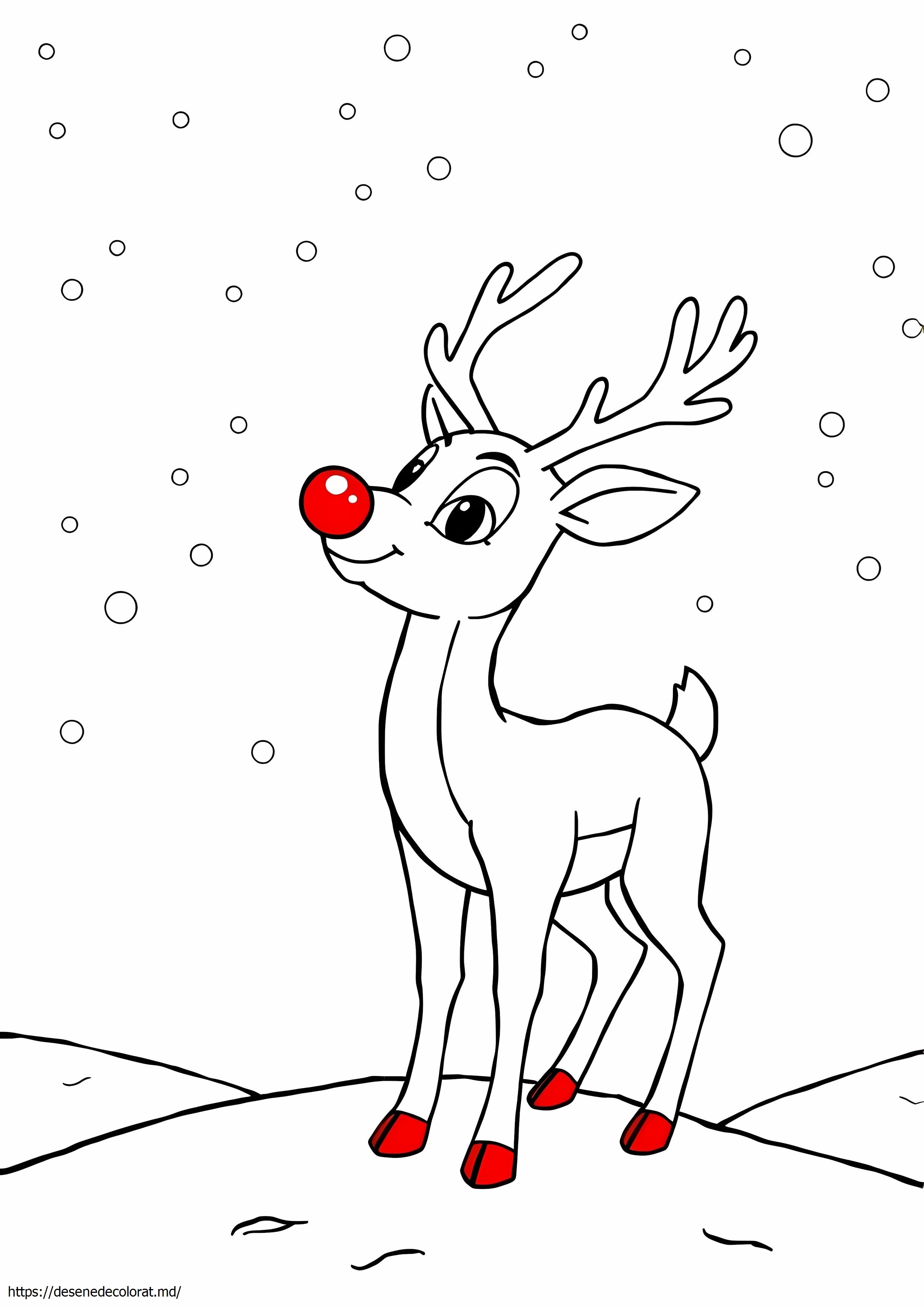 Rudolph pentru