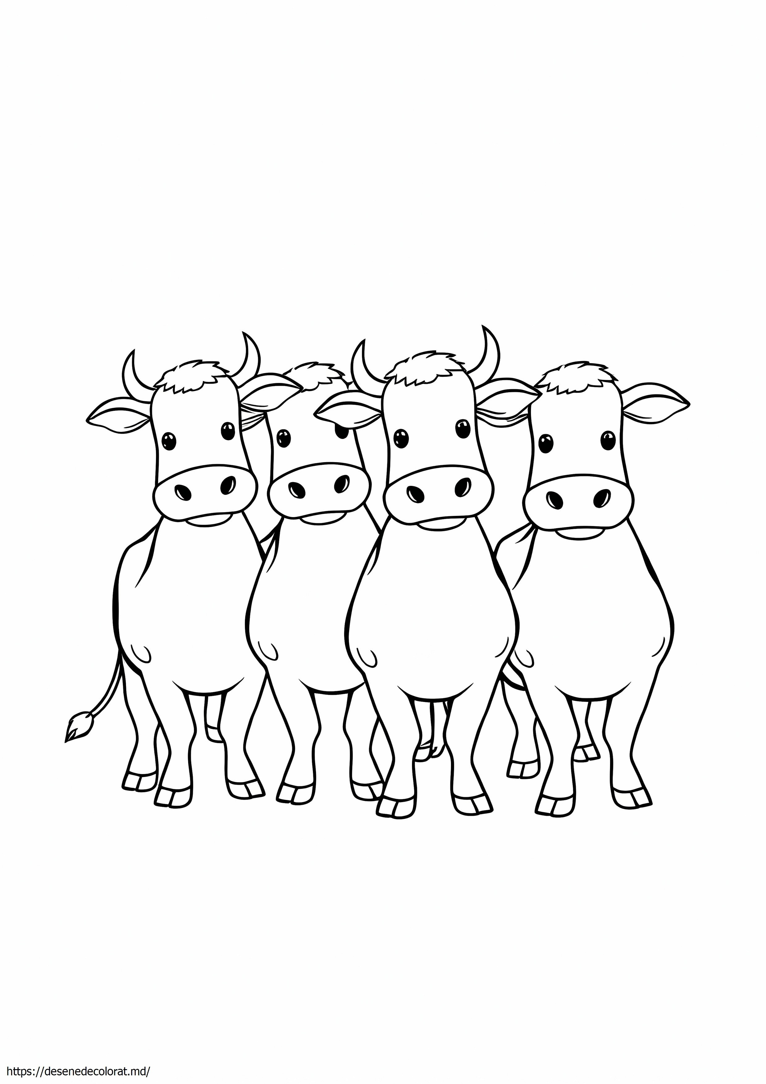 4 vaci