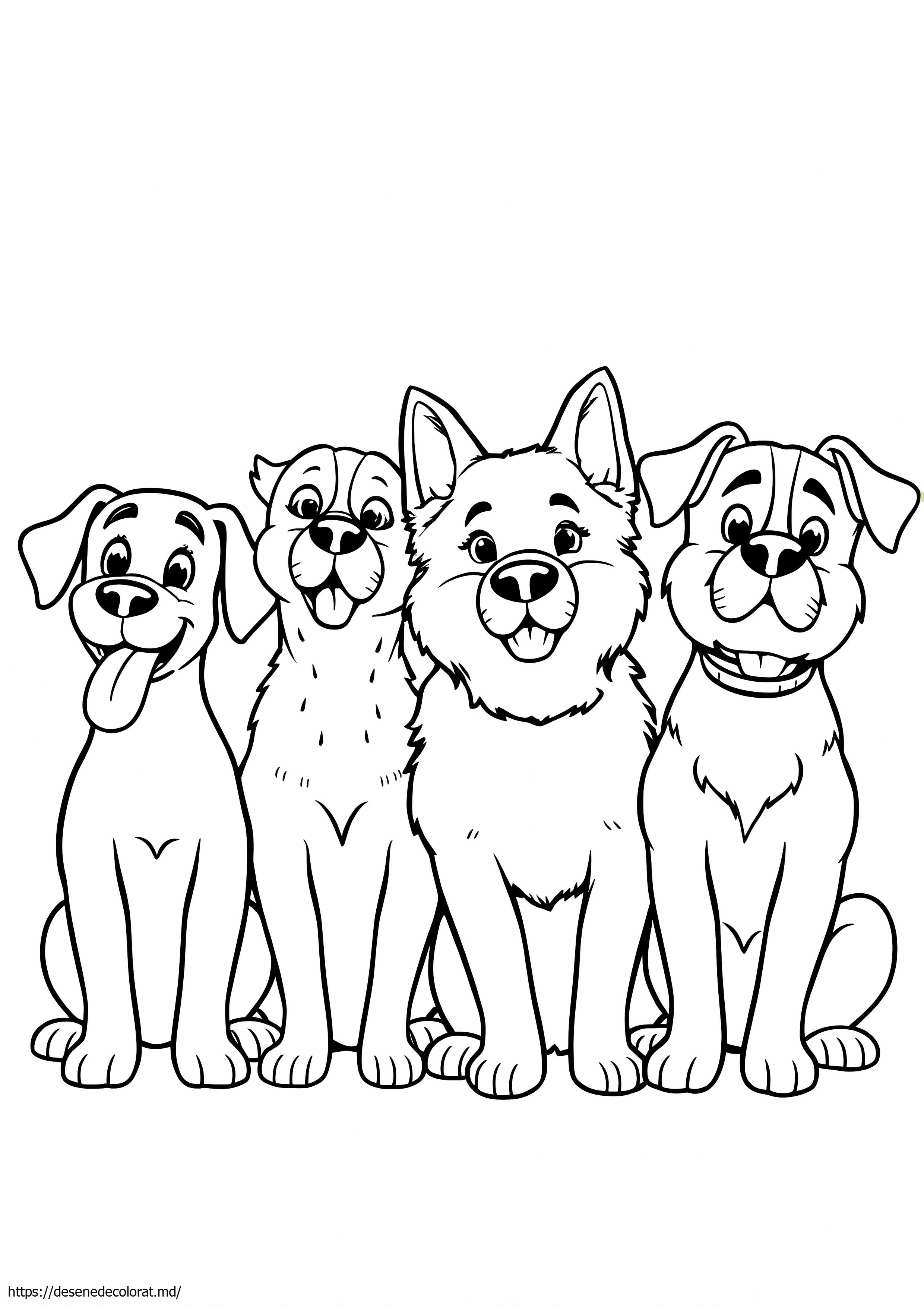 4 câini