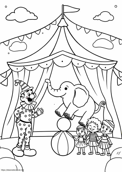 Tema de circ