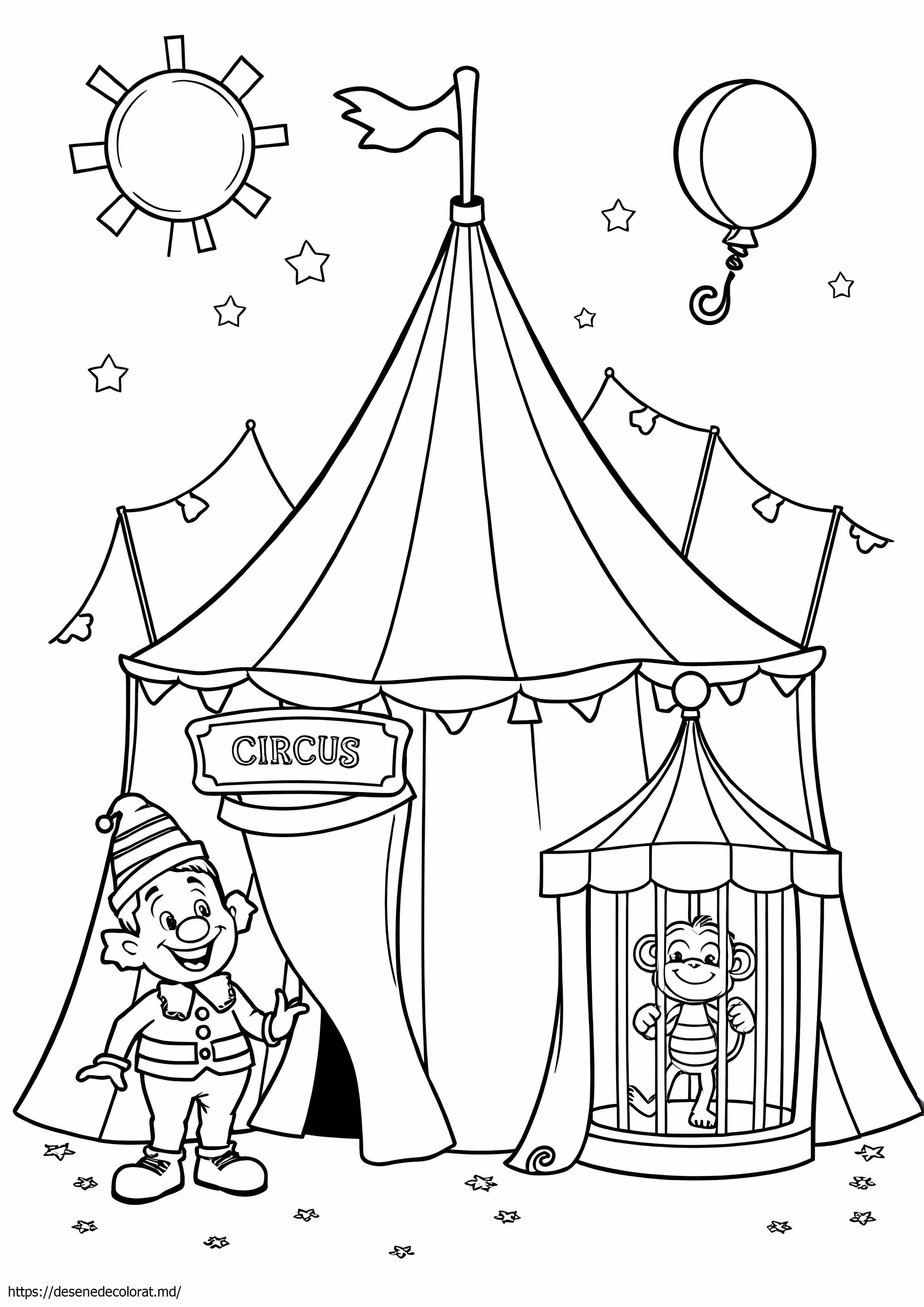 Cort de circ