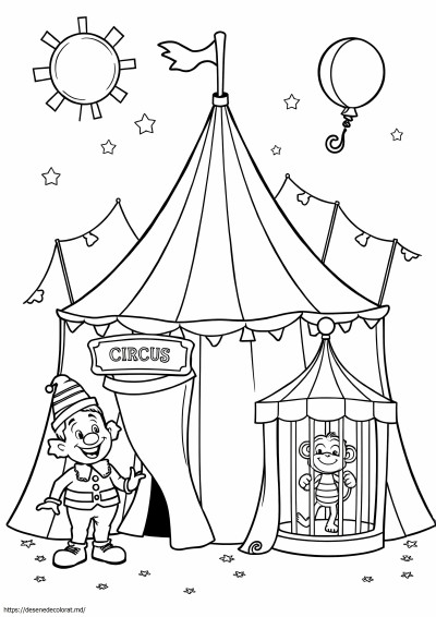 Cort de circ