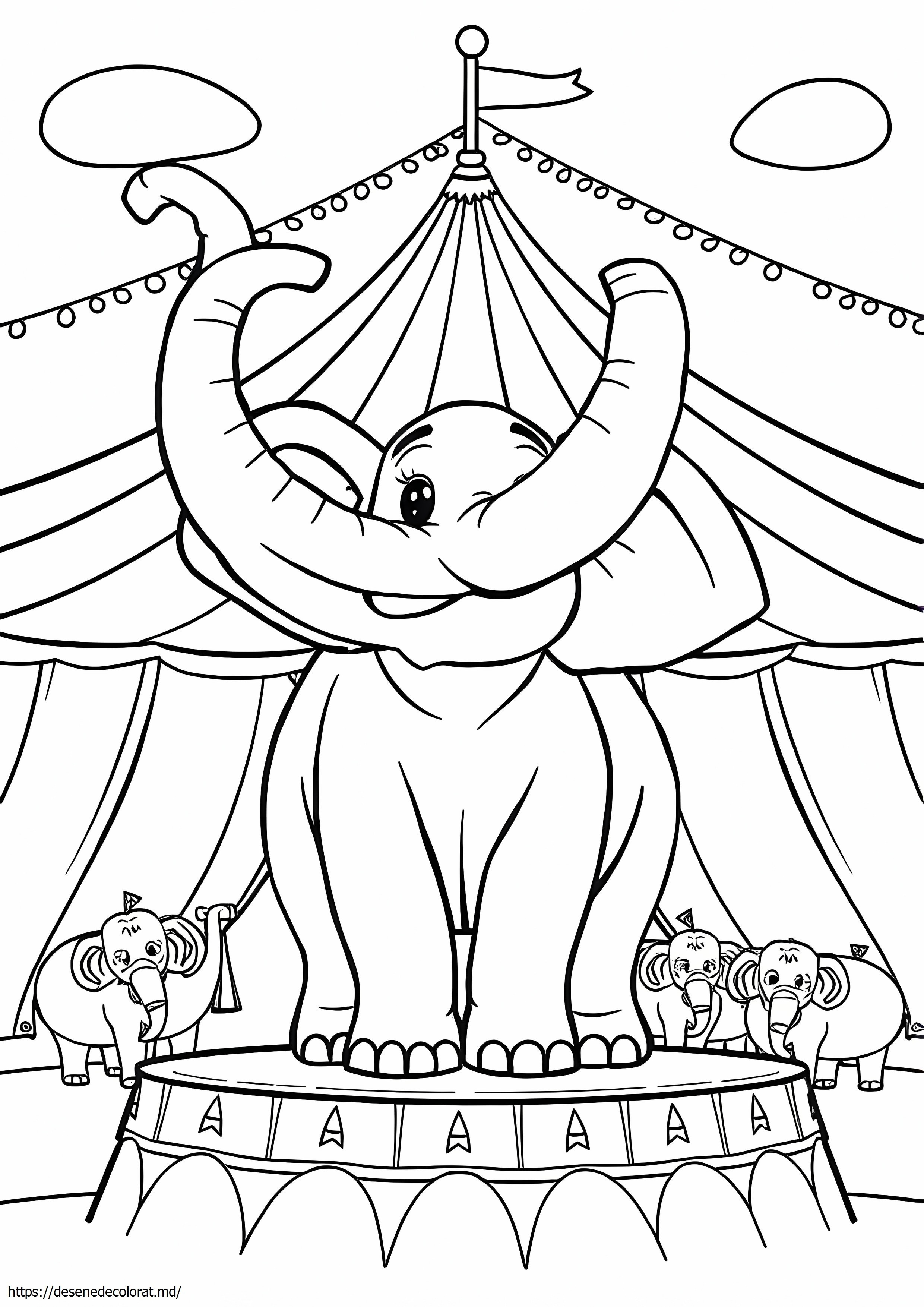 Elefant de circ