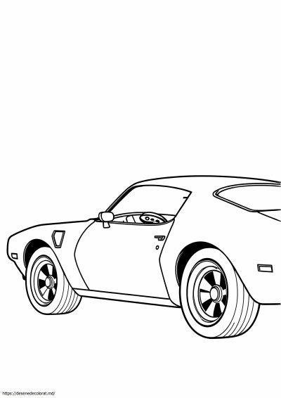 1973 pasăre de foc