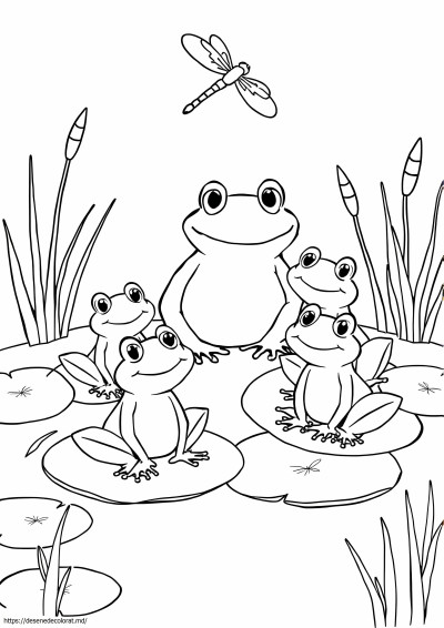 4 broaște