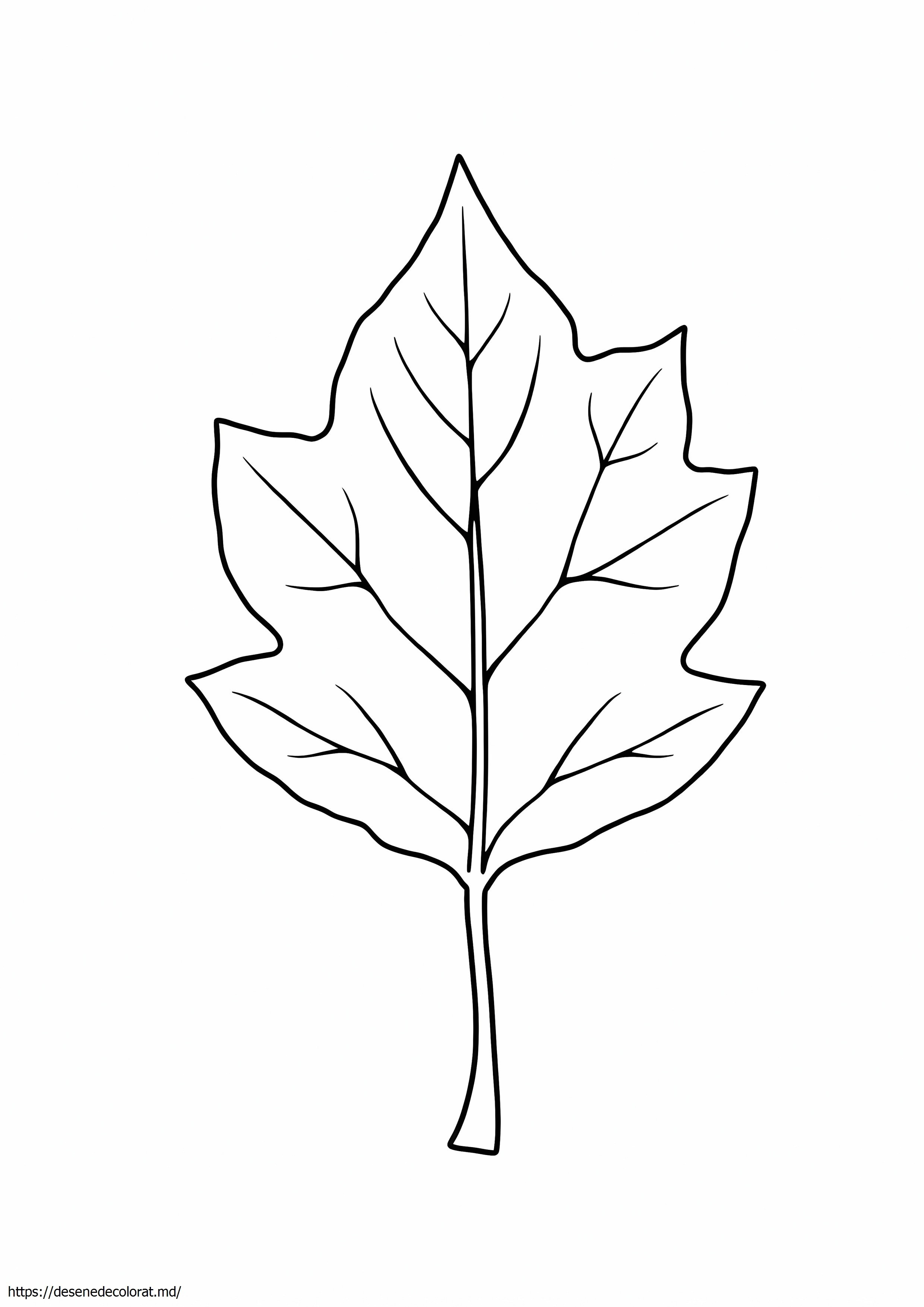 Clipart de frunze de ulm abstracte